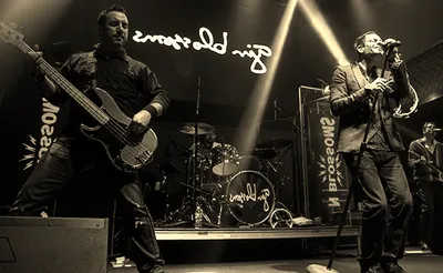 Gin Blossoms